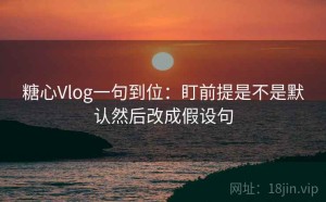 糖心Vlog一句到位：盯前提是不是默认然后改成假设句