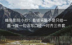 蜂鸟影院小抄：看镜头是不是只给一面→做一句话写口径→对齐三件套