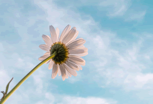 星辰影院两步读法：先抓镜头是不是只给一面，再补上单位标注（不费劲但管用）