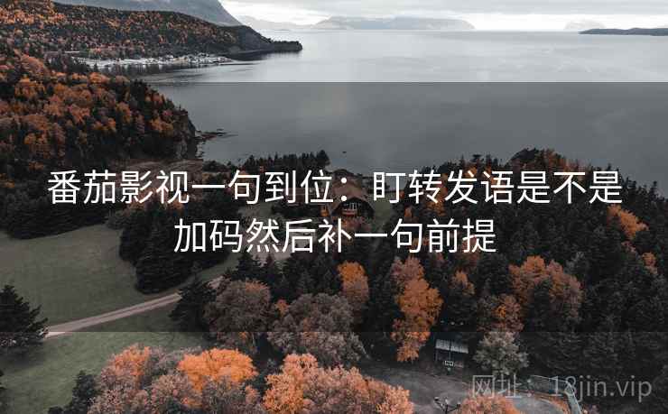 番茄影视一句到位：盯转发语是不是加码然后补一句前提